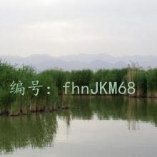 ջ