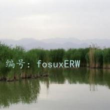 Ŀ