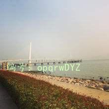 ͨ