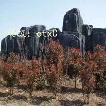 λ