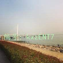 ļ